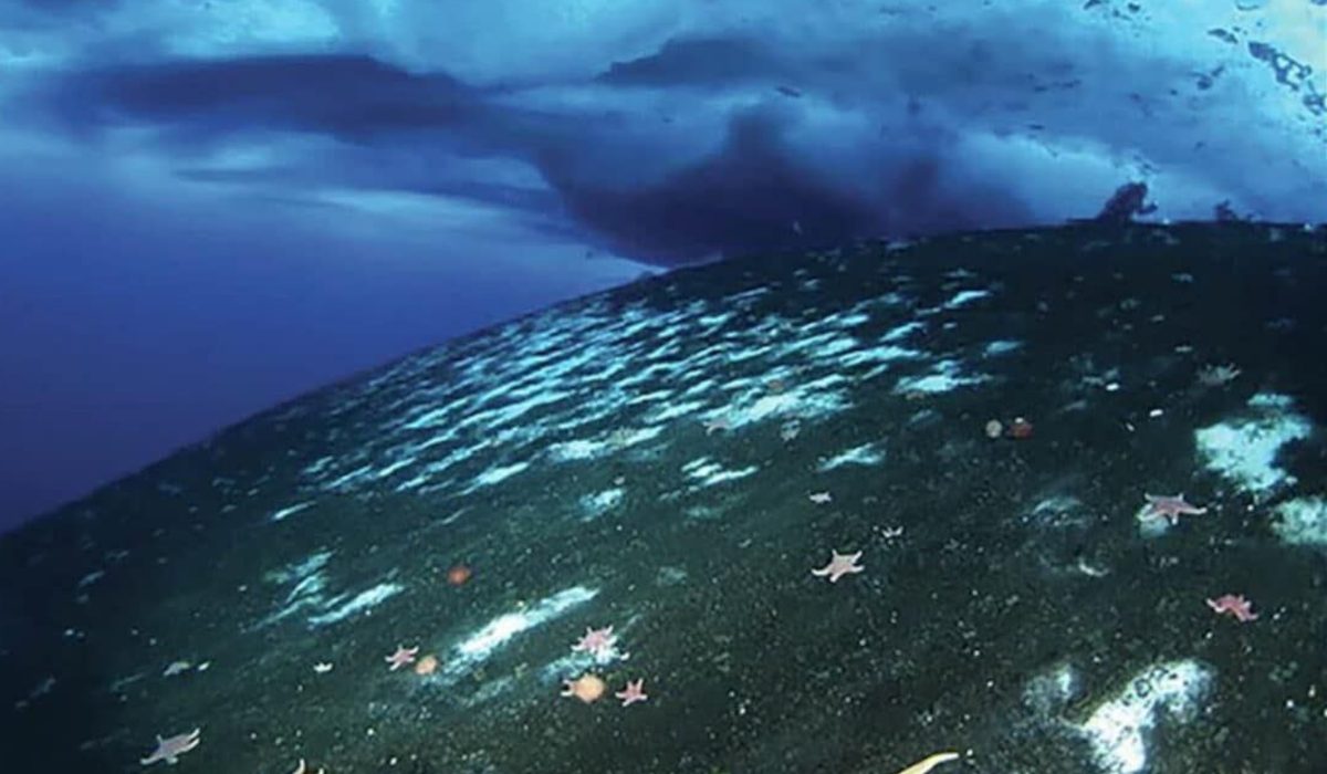 На дне Антарктиды нашли опасные утечки метана