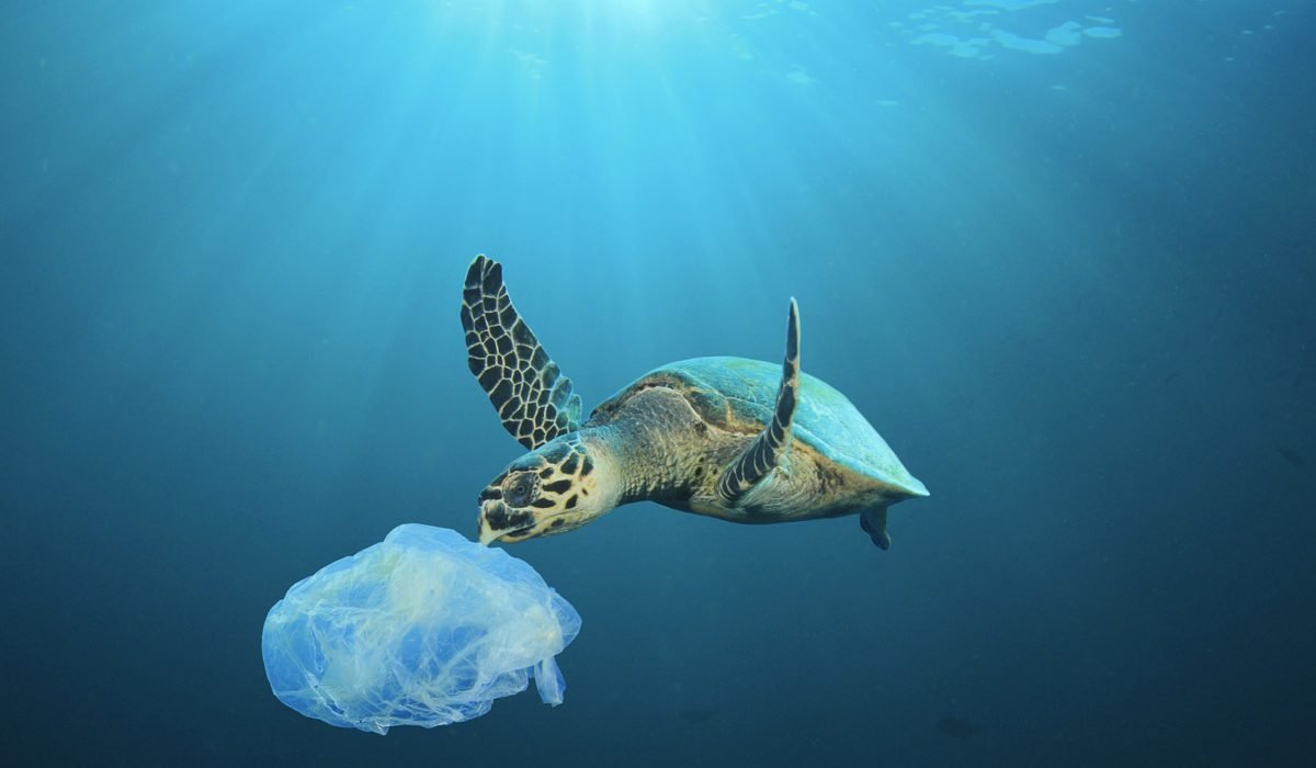 Ученые Ocean Conservancy вычислили смертельный объем пластика для морских обитателей