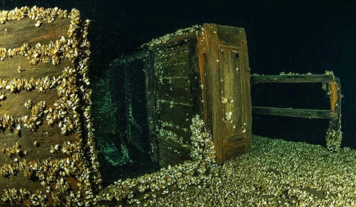 Водолазы в Канаде искали корабль 1917 года, а нашли судно XIX века