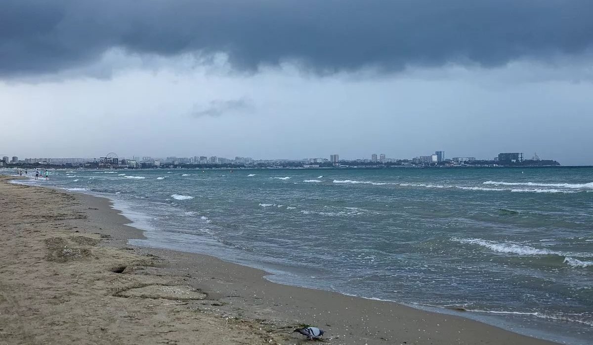 Новый канал в Турции может нарушить экологию Черного моря