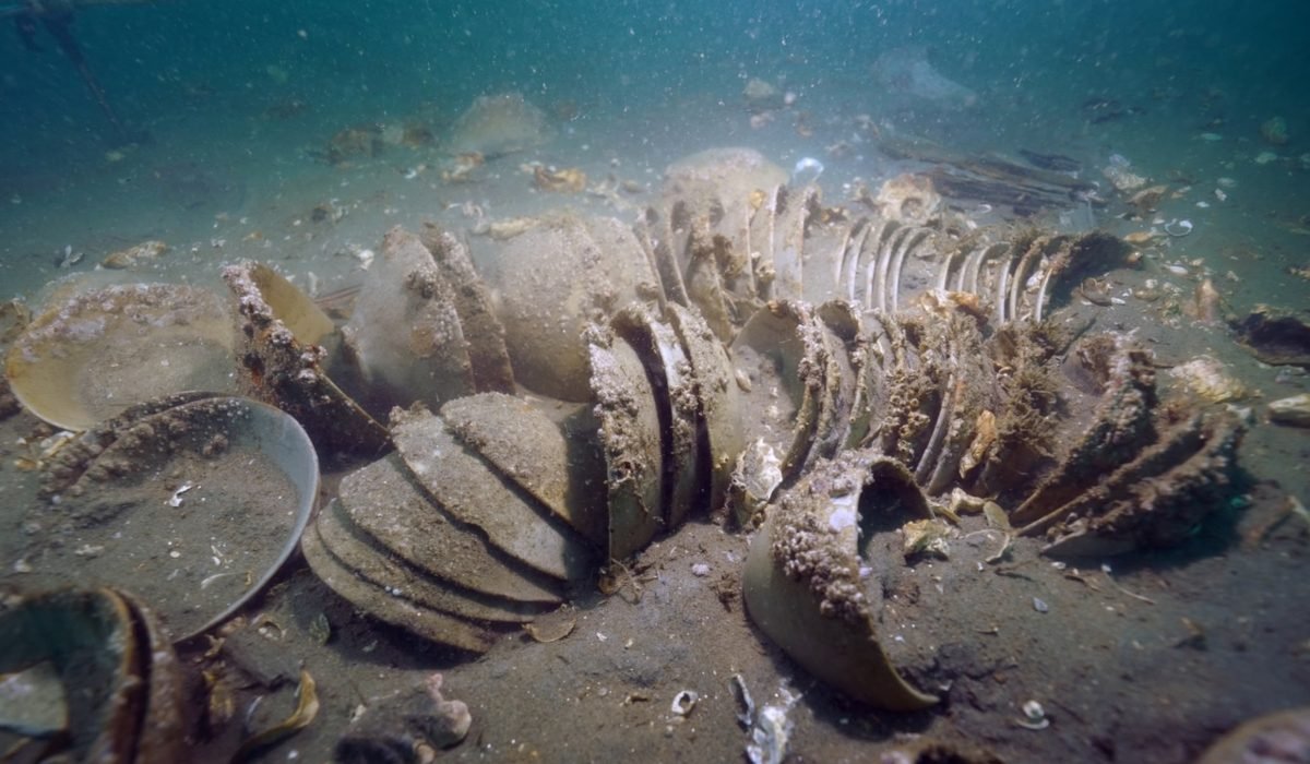 Девять веков на дне: в Корее нашли идеально сохранившуюся керамику