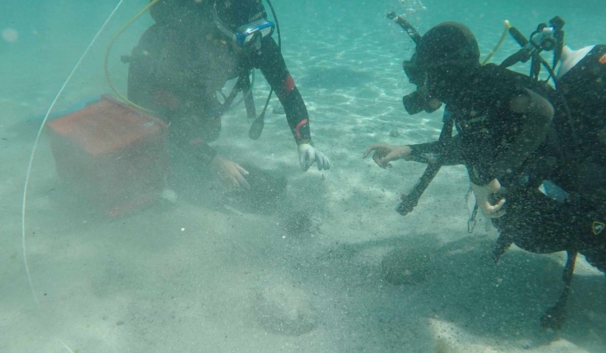 Дайвер нашел у Сардинии 50 тысяч римских монет IV века