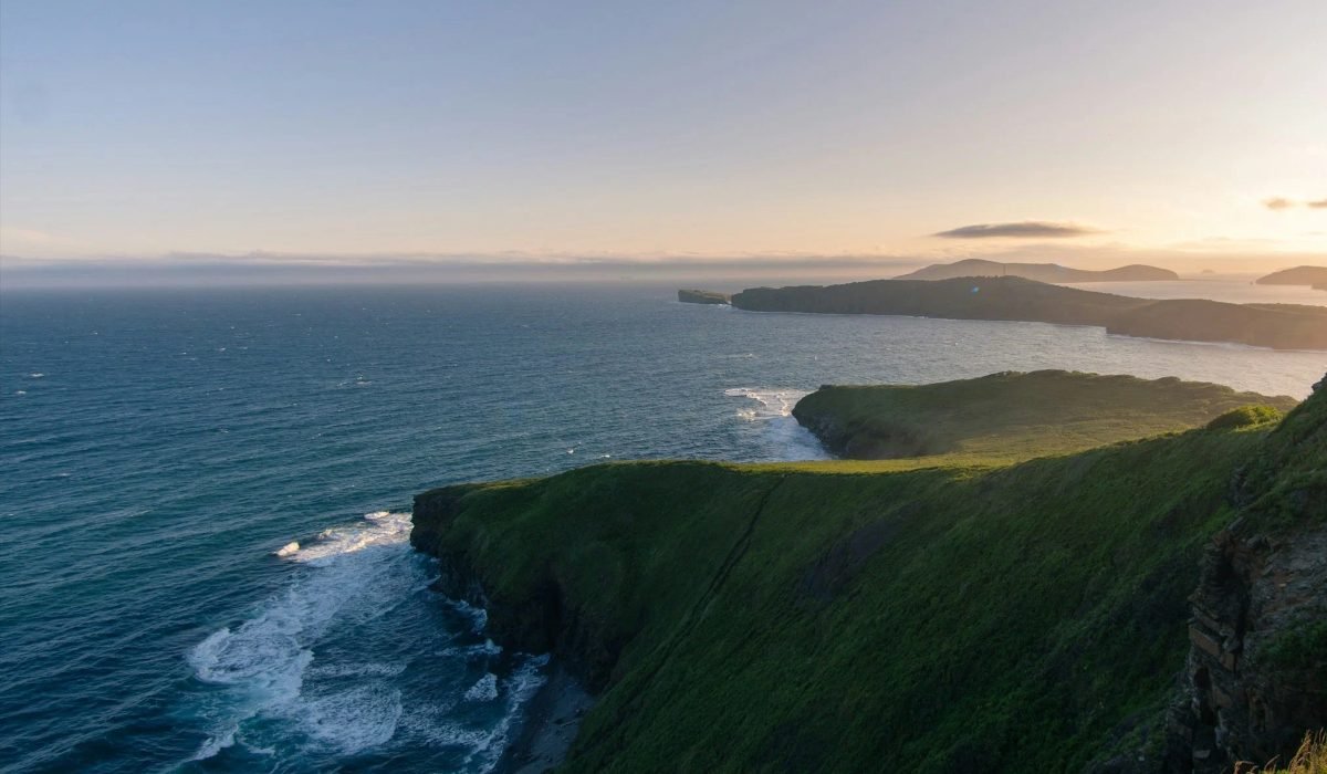 Тропическая микроводоросль впервые появилась у берегов Владивостока