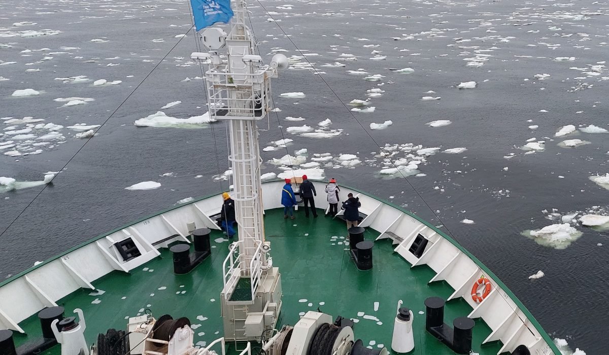Вихри Гренландского моря управляют арктическими льдами
