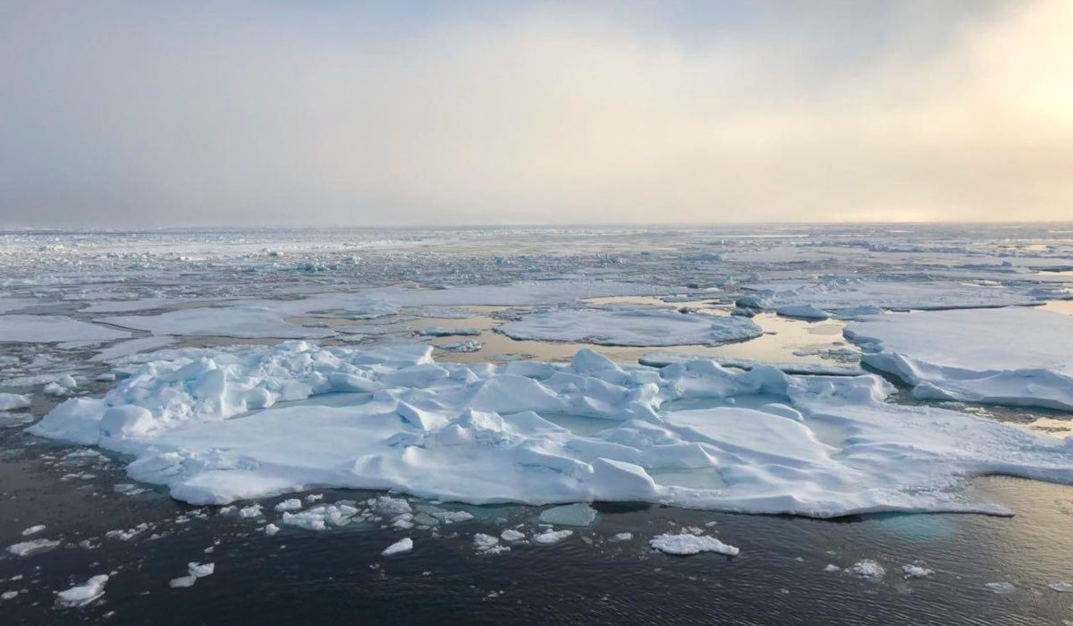 Российский ИИ научился искать мусор в Арктике лучше зарубежных систем