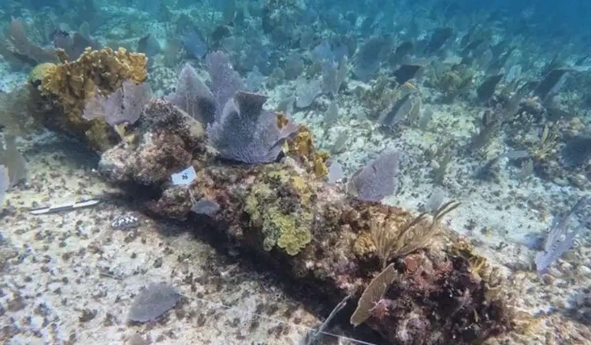 Тайна контрабандиста: учёные раскрыли секрет кораблекрушения XVIII века