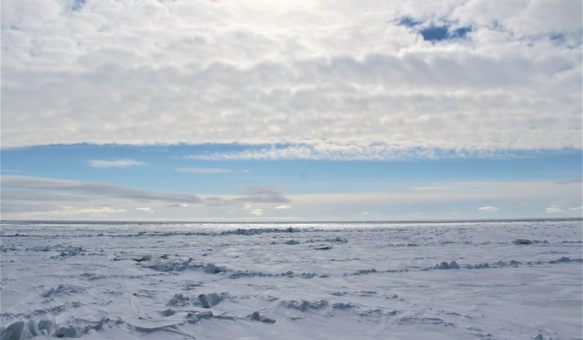 Арктика под наблюдением: учёные следят за состоянием вечной мерзлоты