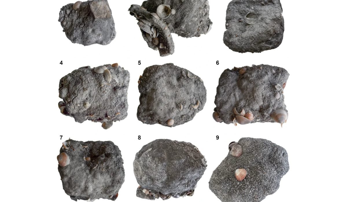 Обломки корабля с необработанным железом на борту обнаружили у берегов Израиля