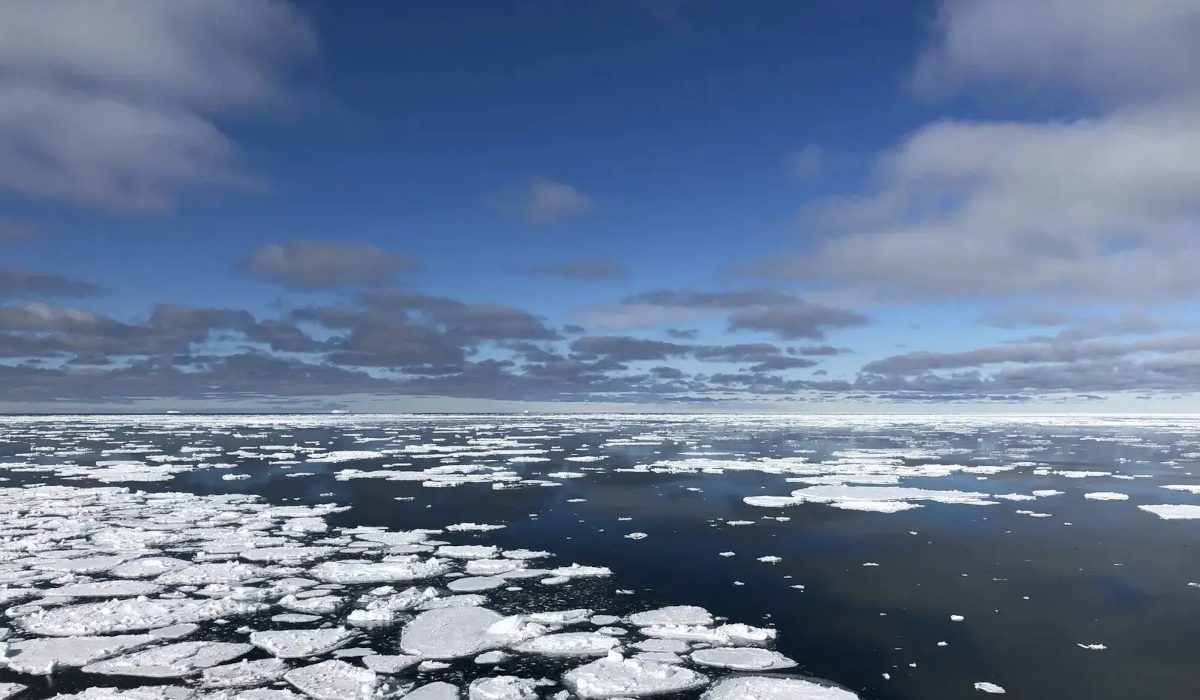 Исследователи Антарктиды проведут онлайн‑урок «Южный океан» 30 апреля